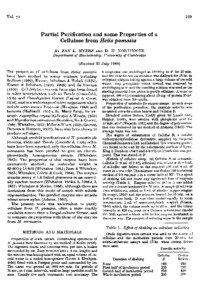 Enzymes / Proteins / Cellulase Unit / Catalysis / Protein methods / Cellulase / Ethanol / Hydrolysis / Glucanase / Chemistry / Biology / Cellulose