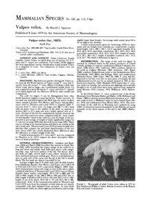 Vulpes / Kit fox / Red fox / Swift fox / Canidae / Mammals of Wyoming / Arctic fox / Black-tailed jackrabbit / Biology / Foxes / Zoology / Fauna of Europe