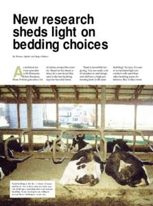 New research sheds light on bedding choices By Thomas Quaife and Roger Palmer  s technical services specialist