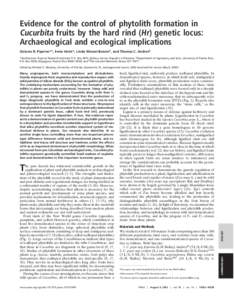 Evidence for the control of phytolith formation in Cucurbita fruits by the hard rind (Hr) genetic locus: Archaeological and ecological implications Dolores R. Piperno*†, Irene Holst*, Linda Wessel-Beaver‡, and Thomas