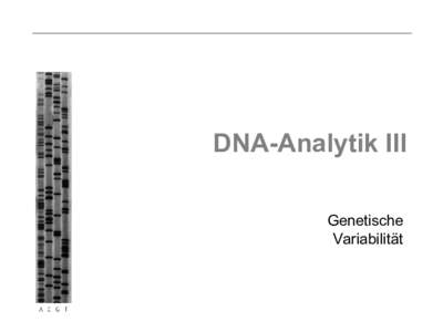 DNA-Analytik III Genetische Variabilität Genetische Variabilität Lexikon