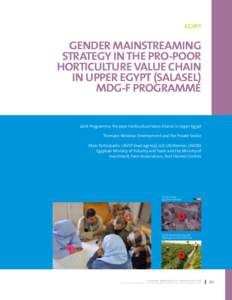 Egypt  Gender Mainstreaming Strategy in the Pro-poor Horticulture Value Chain in Upper Egypt (SALASEL)