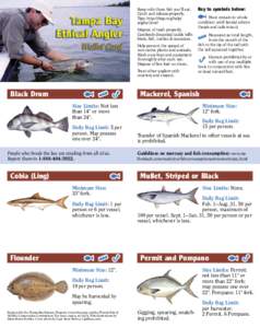 Keep only those fish you’ll eat. Catch and release properly. Tips: http://tbep.org/help/ angler.html Dispose of trash properly. Carelessly discarded tackle kills