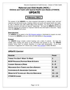 Wisconsin Department of Health Services – Division of Public Health  Maternal and Child Health (MCH) / Children and Youth with Special Health Care Needs (CYSHCN)