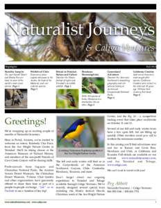 Bird / Trinidad and Tobago / Biology / Zoology / Political geography / Arima / Asa Wright Nature Centre / Birdwatching