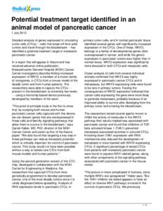 Potential treatment target identified in an animal model of pancreatic cancer