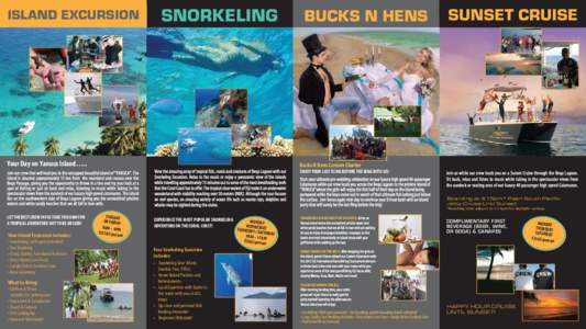FA Freedive Brochure 4panel 4x9inchLR