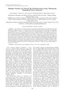 Multiple Nuclear Loci Reveal the Distinctiveness of the Threatened, Neotropical Pinus chiapensis