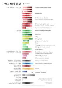 WHAT KIWIS DIE OF  = 100 deaths CIRCULATORY DISEASE