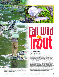 by John Allen photos by the author You should always approach wild trout in the opposite direction of the stream flow since the trout will more times than not be facing upstream.