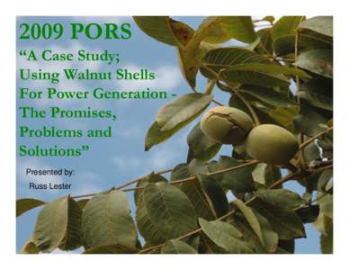Using Walnut Shells For Power Generation - The Promises, Problems and Solutions