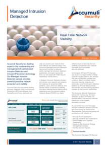 Managed Intrusion Detection Real Time Network Visibility