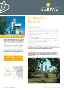 Mackay Gas Turbine About the power station The Mackay Gas Turbine is an on-demand remote controlled power generator operated for short periods when customer demand for electricity is high. It is also Black Start capable,