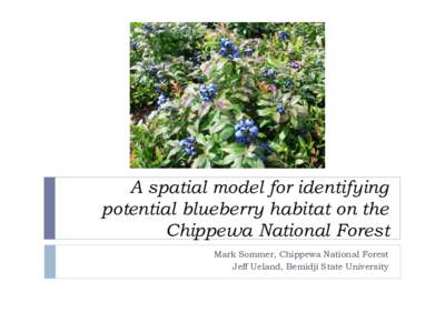 A spatial model for identifying potential blueberry habitat on the Chippewa National Forest Mark Sommer, Chippewa National Forest Jeff Ueland, Bemidji State University