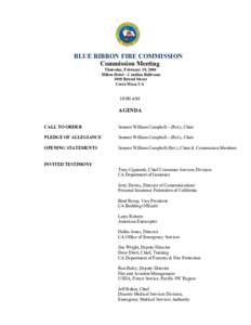 BLUE RIBBON FIRE COMMISSION Commission Meeting Thursday, February 19, 2004 Hilton Hotel – Catalina Ballroom 3050 Bristol Street Costa Mesa, CA