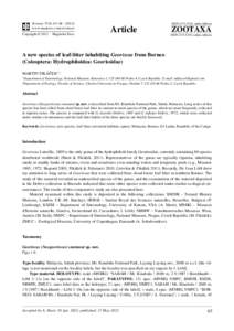 A new species of leaf-litter inhabiting Georissus from Borneo A new species of leaf-litter inhabiting Georissus from Borneo