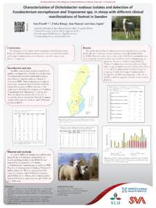 3rd Prato Conference on the Pathogenesis of Bacterial Diseases of Animals, Prato, Italy, 7-10 OctoberCharacterization of Dichelobacter nodosus isolates and detection of Fusobacterium necrophorum and Treponema spp.