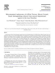 Academia / Owl / Taphonomy / Tyto / Faunal assemblage / Assemblage / A New Philosophy of Society: Assemblage Theory and Social Complexity / Paleontology / Archaeological sub-disciplines / Geology