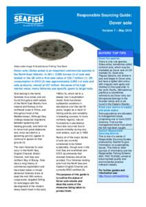 Seafish Responsible Sourcing Guide: Dover sole 2013