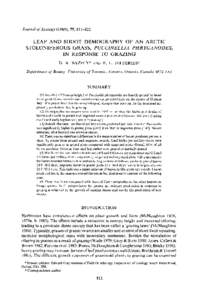 Leaf and Shoot Demography of an Arctic Stoloniferous Grass, Puccinellia Phryganodes, in Response to Grazing