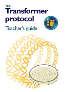 THE  Transformer protocol Teacher’s guide