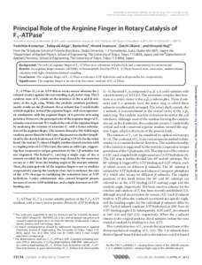 THE JOURNAL OF BIOLOGICAL CHEMISTRY VOL. 287, NO. 18, pp[removed] –15142, April 27, 2012 © 2012 by The American Society for Biochemistry and Molecular Biology, Inc. Published in the U.S.A. Principal Role of the Arginine