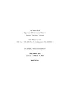 City of New York Department of Environmental Protection Bureau of Wastewater Treatment CSO Order on Consent DEC Case # CO2, Modification to CO2