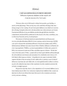 Abstract CARVAJAL-RONDANELLI, PATRICIO ARMANDO. Diffusion of protease inhibitors in the muscle cell (Under the direction of Dr. Tyre Lanier)