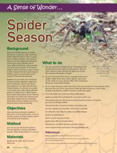 Spider Season Background More than 35,000 species of spiders are known to humans, with more than 3,500 in North America. Fall is a great
