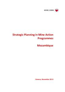 Strategic Planning in Mine Action Programmes Mozambique Geneva, November 2013