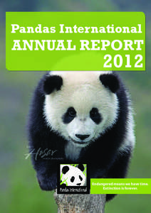 Pandas International  ANNUAL REPORT 2012
