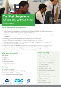 The Work Programme: for you and your customer East London What is the Work Programme? • The programme has a flexible and tailored approach, with individual journeys agreed by the customer and advisor that are assigned 