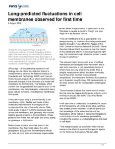 Long-predicted fluctuations in cell membranes observed for first time