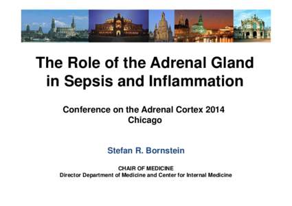 The Role of the Adrenal Gland in Sepsis and Inflammation Conference on the Adrenal Cortex 2014 Chicago  Stefan R. Bornstein