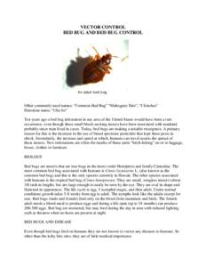 VECTOR CONTROL BED BUG AND BED BUG CONTROL An adult bed bug  Other commonly used names: “Common Bed Bug” “Mahogany flats”; “Chinches”