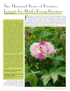 Two Thousand Ye a r s o f P e o n i e s : L essons for Ala s k a P e o n y G r o w e r s Mingchu Zhang In Alaska, peonies have been a favored garden flower for more