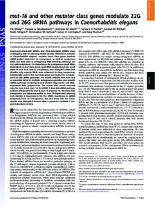 INAUGURAL ARTICLE  mut-16 and other mutator class genes modulate 22G and 26G siRNA pathways in Caenorhabditis elegans Chi Zhanga,1, Taiowa A. Montgomerya,1, Harrison W. Gabela,1,2, Sylvia E. J. Fischera, Carolyn M. Phill