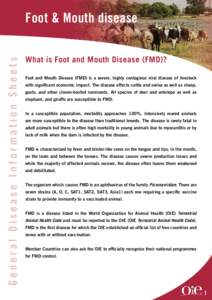 Health / Medicine / Foot-and-mouth disease / Aphthovirus / World Organisation for Animal Health / Vaccination / Japan foot-and-mouth outbreak / United Kingdom foot-and-mouth outbreak / Veterinary medicine / Animal virology / Picornaviruses