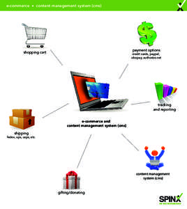 e-commerce • content management system (cms)  payment options shopping cart