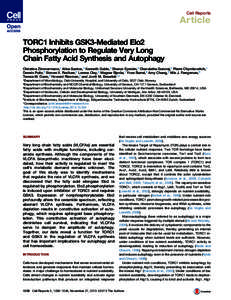 Cell Reports  Article TORC1 Inhibits GSK3-Mediated Elo2 Phosphorylation to Regulate Very Long Chain Fatty Acid Synthesis and Autophagy