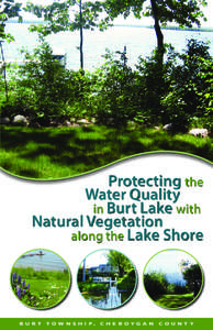 Protecting the Water Quality in Burt Lake with Natural Vegetation along the Lake Shore