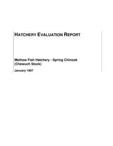 HATCHERY EVALUATION REPORT  Methow Fish Hatchery - Spring Chinook (Chewuch Stock) January 1997
