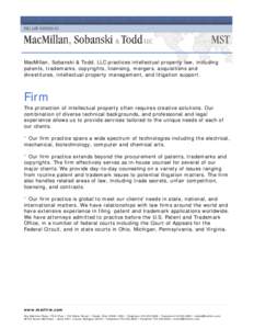 Microsoft Word - Attorney profile and brochure Master Template.doc