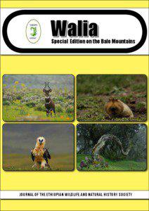 Walia  Special Edition on the Bale Mountains