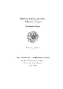 Hypercomplex Analysis Selected Topics (Habilitation Thesis)