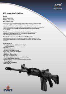 ®  ACE Assault Rifle 7.62x51mm
