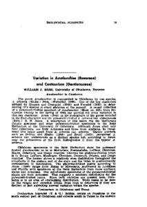 Variation in Amelanchier (Rosaceae) and Centaurium (Gentianaceae)