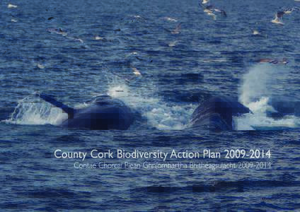 County Cork Biodiversity Action Plan[removed]Contae Chorcaí Plean Ghníomhartha Bhithéagsulacht[removed] contents ADDRESS FROM THE MAYOR ADDRESS FROM THE COUNTY MANAGER/ACKNOWLEDGEMENTS