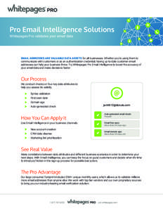 datasheet_emailIntelligence