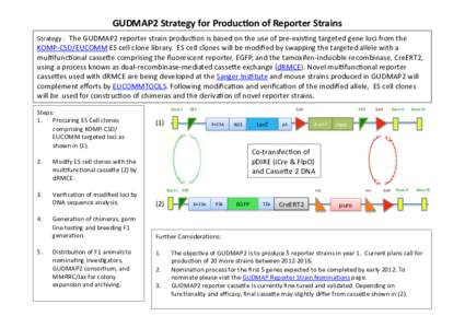 GUDMAP2	
  Strategy	
  for	
  Produc5on	
  of	
  Reporter	
  Strains	
   Strategy	
  :	
  	
  The	
  GUDMAP2	
  reporter	
  strain	
  produc;on	
  is	
  based	
  on	
  the	
  use	
  of	
  pre-­‐ex